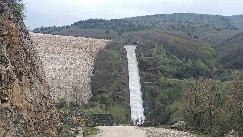 Pazaryeri tarımında altın d&ouml;nem başlıyor
