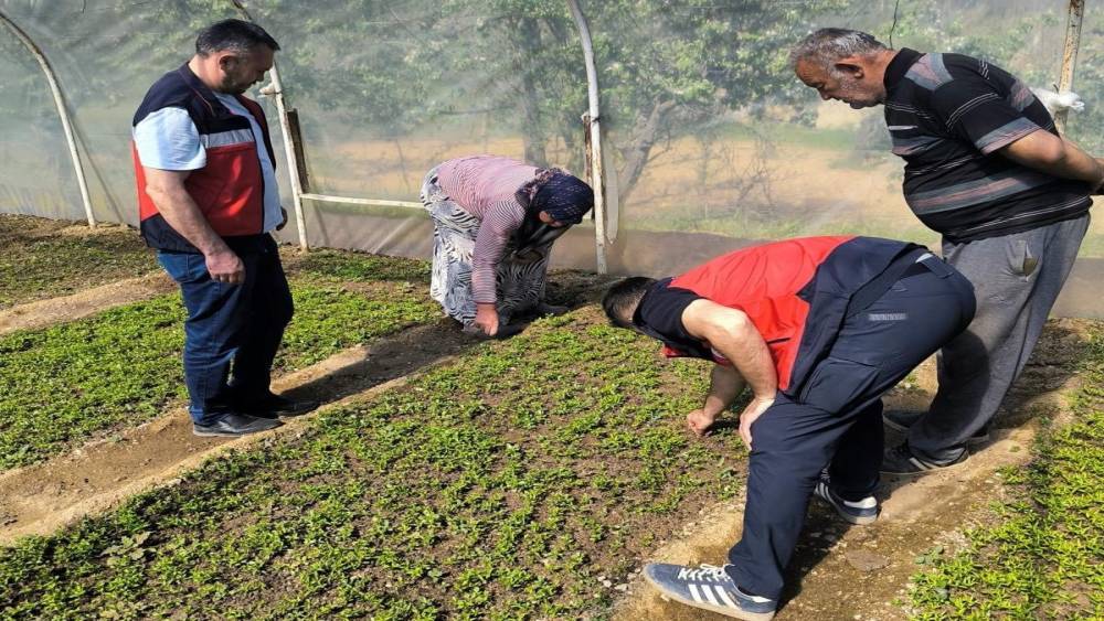 Emet&rsquo;te seralarda inceleme ve bilgilendirme faaliyetleri
