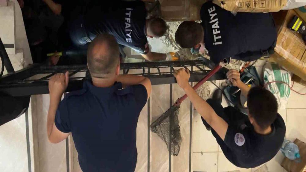 Merdiven boşluğuna sıkışan kedi merdiven ve fayans kırılarak kurtarıldı
