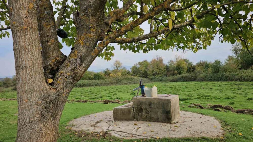 Boğarak &ouml;ld&uuml;rd&uuml;ğ&uuml; 17 yaşındaki Hasret&rsquo;i kuyuya attığını itiraf eden sanığa ağırlaştırılmış m&uuml;ebbet
