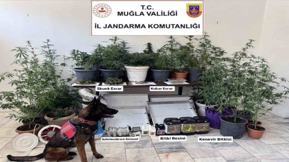 Jandarma ekiplerinin uyuşturucu ve sahte alkol denetimleri s&uuml;r&uuml;yor
