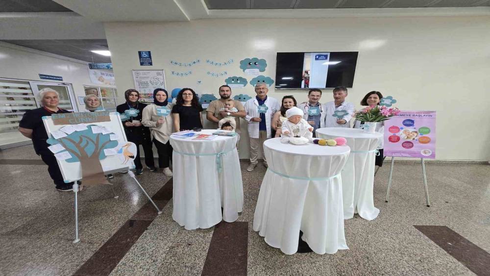 Ordu&rsquo;da anne s&uuml;t&uuml; ve emzirmenin &ouml;nemine dikkat &ccedil;ekildi

