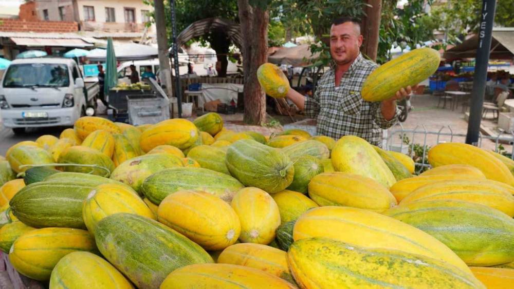 Tavan arasından &ccedil;ıkan tohumlar Altınbaş Kavununu yeniden canlandırdı

