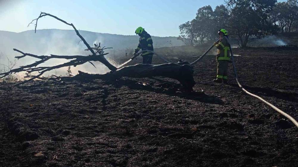 Balıkesir İtfaiyesi temmuz ayında bin 521 olaya m&uuml;dahale etti
