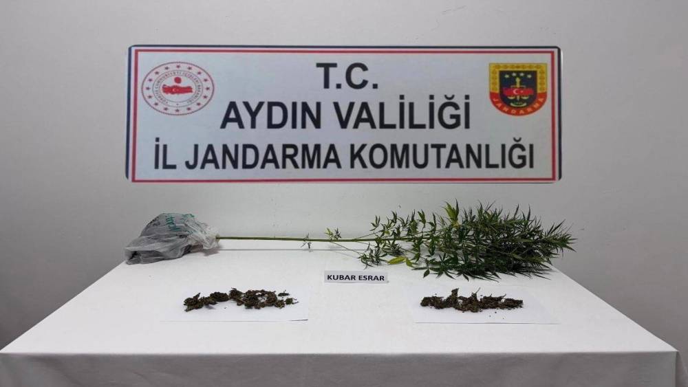 S&ouml;ke&rsquo;de narkotik k&ouml;peği destekli operasyonda uyuşturucu madde ele ge&ccedil;irildi
