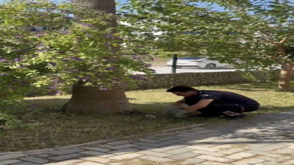 Havalandırma boşluğuna d&uuml;şen 3 yavru kediyi itfaiye kurtardı
