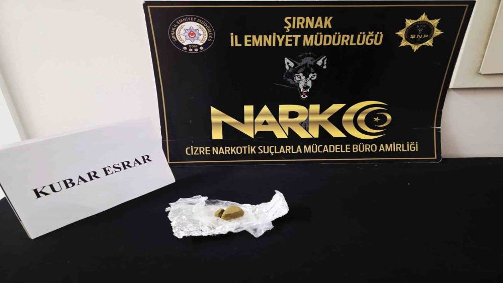 Şırnak&rsquo;ta narkotik ve asayiş operasyonları
