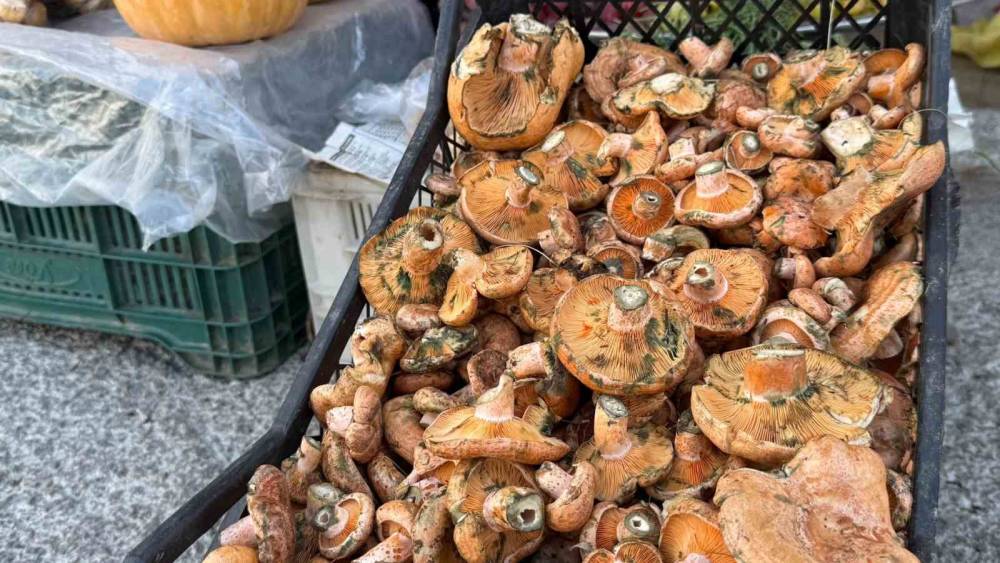 Menteşe&rsquo;de ilk &ccedil;ıntarlar tezgahlarda
