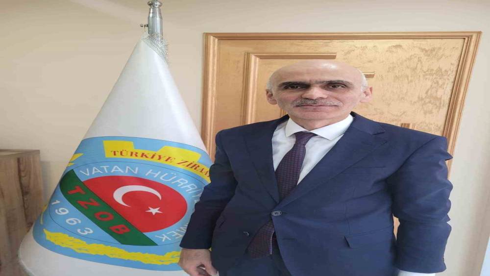 Fındık ihracatındaki d&uuml;ş&uuml;ş rekolte kaybına bağlandı
