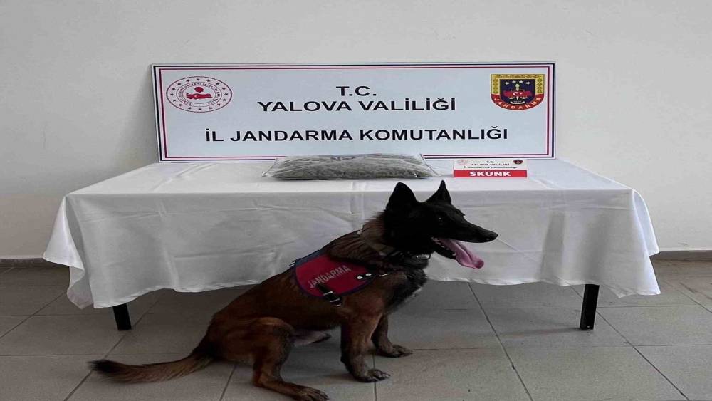 Yalova&rsquo;da uyuşturucu operasyonunda 1 tutuklama
