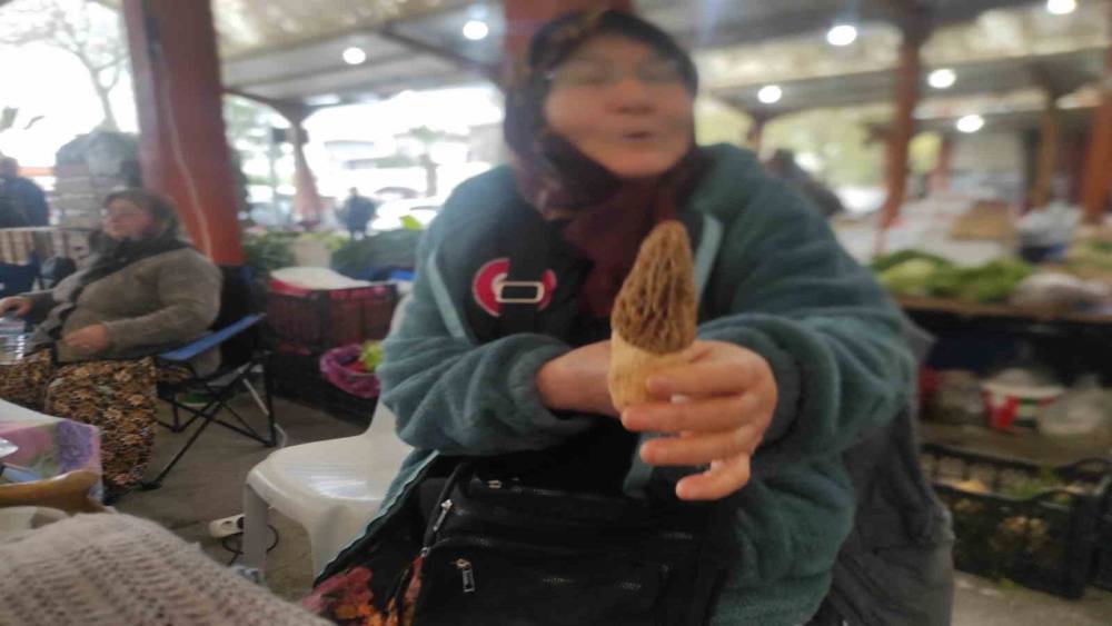 &Ccedil;anakkale&rsquo;de dağ k&ouml;ylerinde kuzug&ouml;beği gelir kapısı oldu
