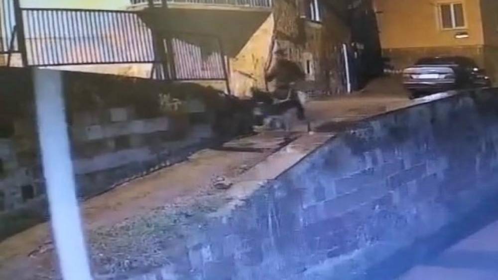 Altınları &ccedil;alıp eşekle ka&ccedil;an sanığa 9 yıl 7 ay hapis cezası
