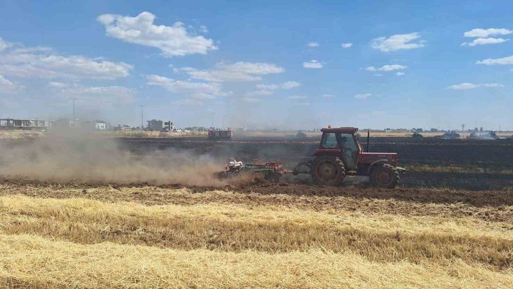 Mardin&rsquo;de 80 d&ouml;n&uuml;m buğday ekili alan k&uuml;le d&ouml;nd&uuml;
