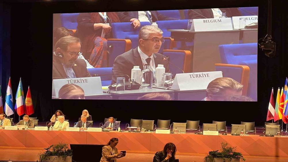 AGİT&rsquo;te T&uuml;rkiye r&uuml;zgarı: MHP&rsquo;li Aydın&rsquo;dan gen&ccedil;leri dijital tehditlerden koruyacak tarihi tasarı
