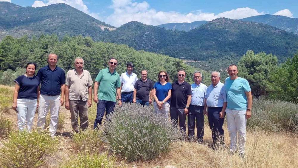 Tıbbi ve Aromatik Bitkileri yerinde inceleme
