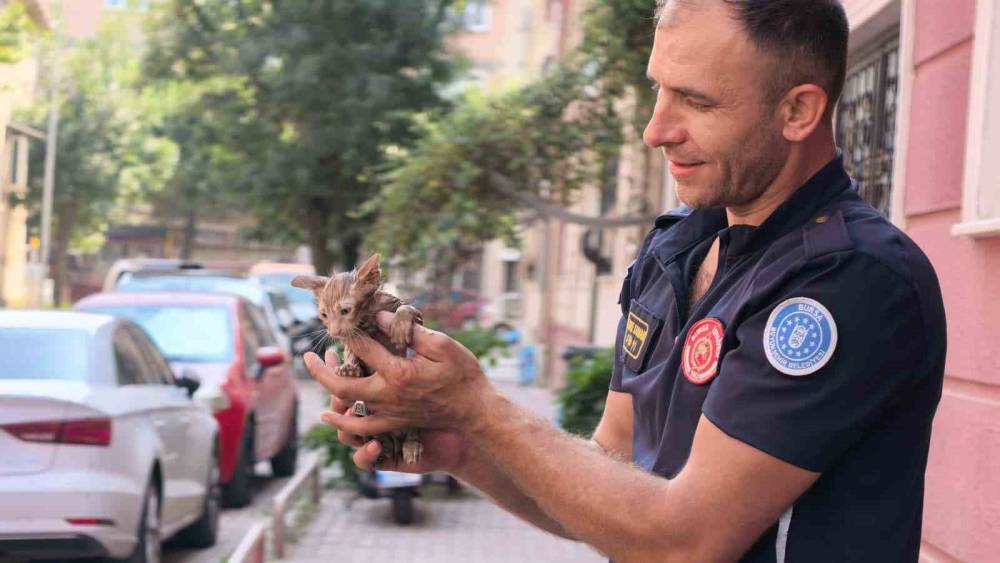 Yağmur suyu giderine sıkışan kediyi itfaiye kurtardı
