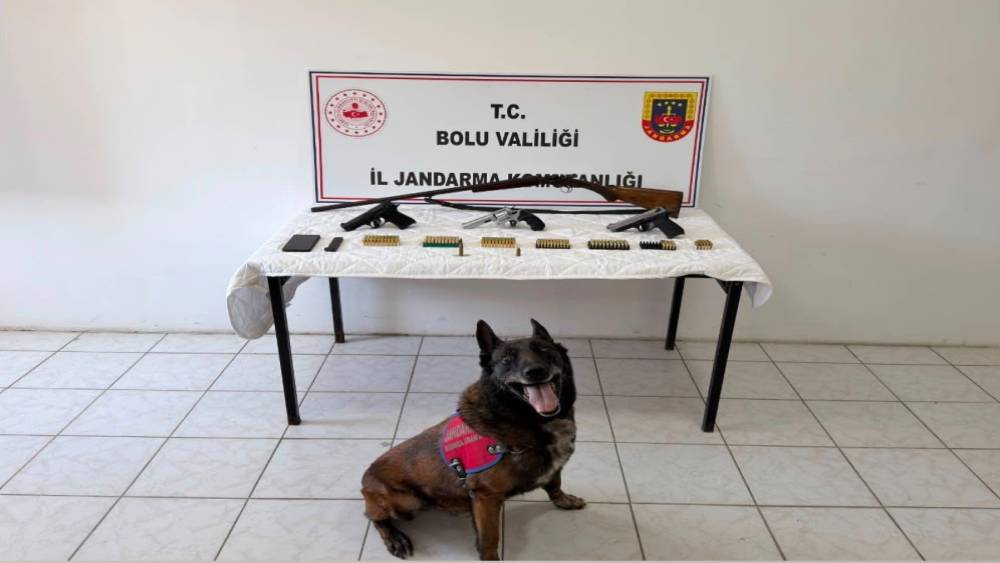 Bolu&rsquo;da evinde silah ve m&uuml;himmat bulunan ş&uuml;pheli tutuklandı
