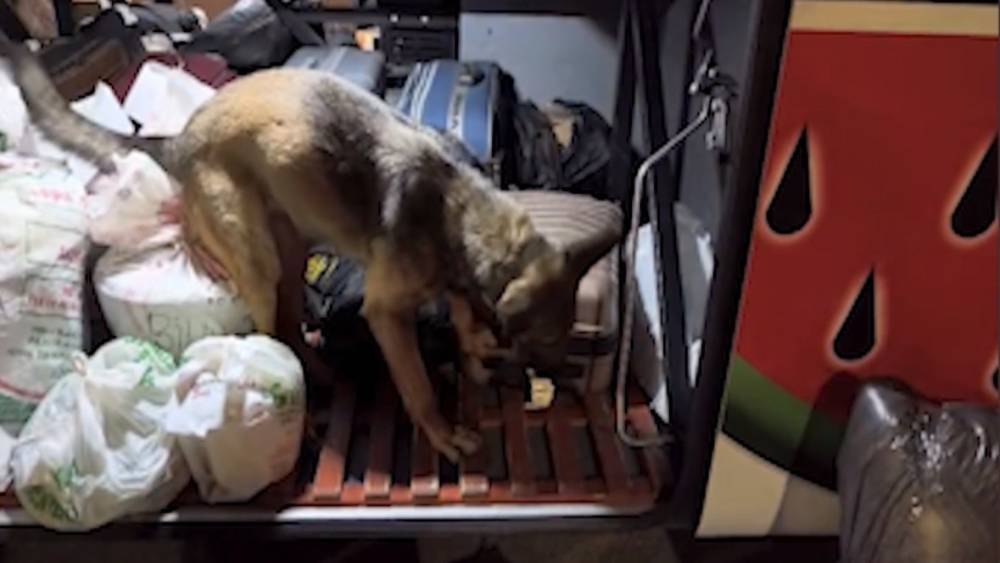 Kayseri&rsquo;de yolcu otob&uuml;s&uuml; operasyonu: 3 kilo 420 gram uyuşturucuyla yakalanan 2 ş&uuml;pheli tutuklandı
