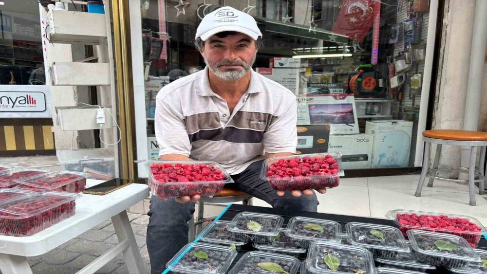 Kıra&ccedil; arazileri aronya ve ahududugil yetiştirerek değerlendirdi
