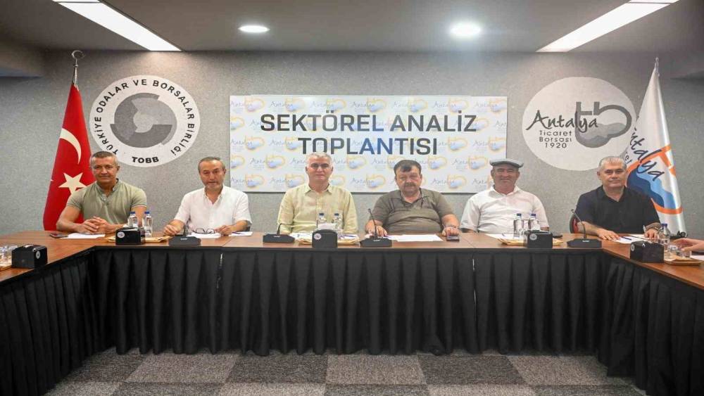 Zeytinde rekolte beklentisi y&uuml;zde 40 arttı

