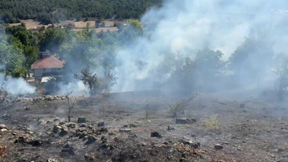 Karab&uuml;k&rsquo;te korkutan anız yangını b&uuml;y&uuml;meden s&ouml;nd&uuml;r&uuml;ld&uuml;
