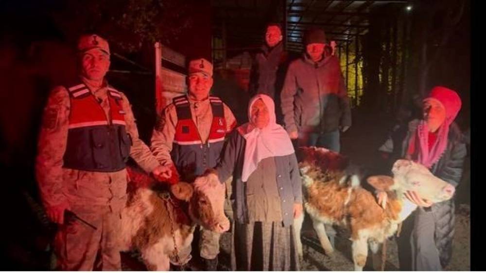 Jandarma çalınan hayvanları sahibine teslim etti
