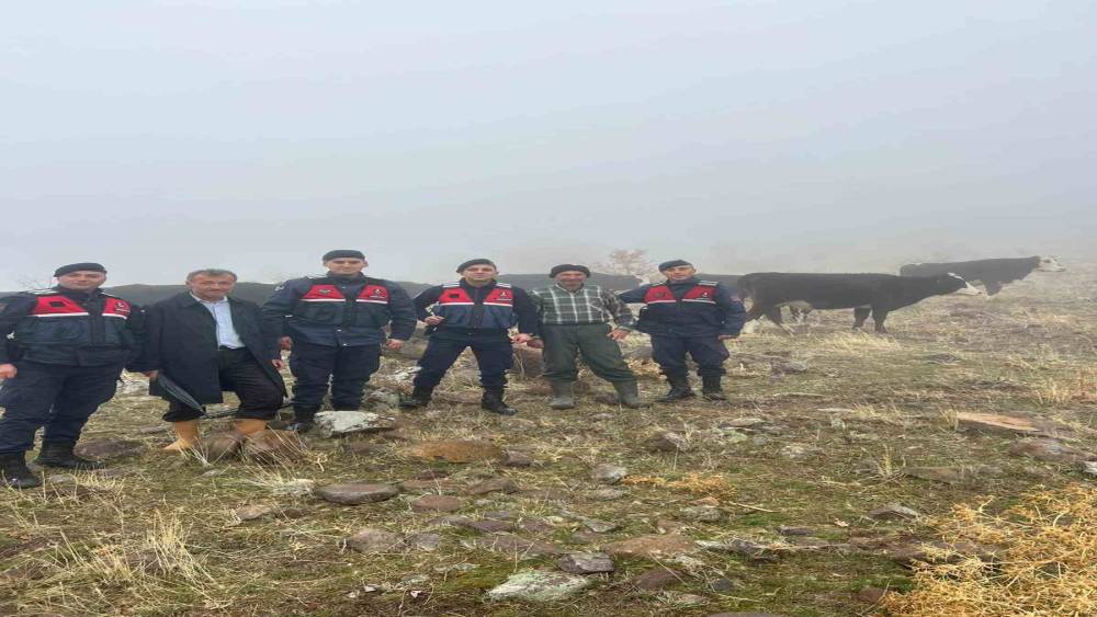 Hayvanları kaybolan kişinin imdadına jandarma yetişti
