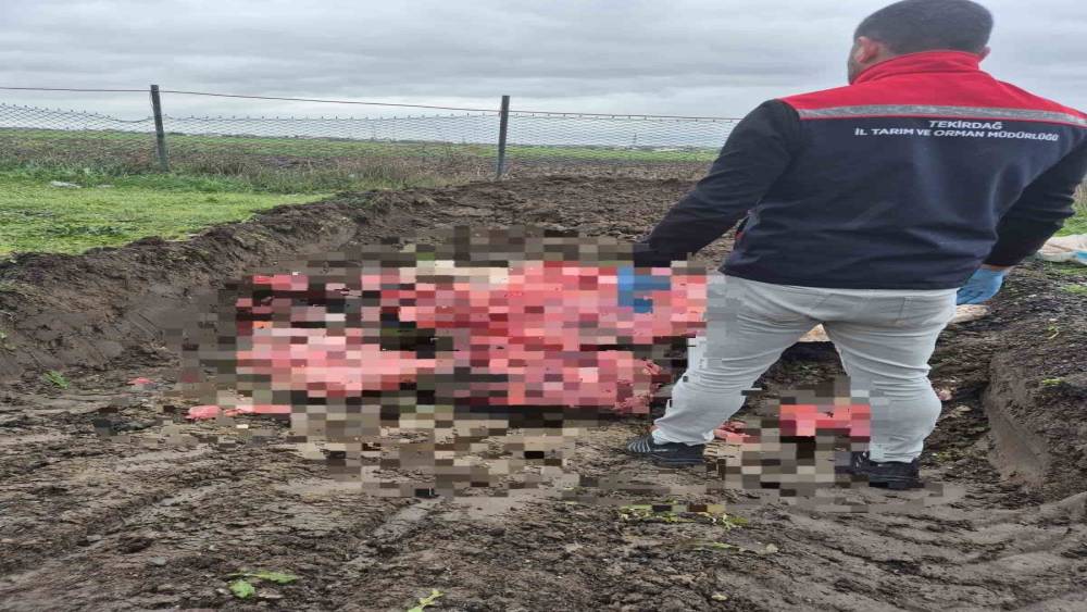 Tekirdağ’da 1 ton menşei belirsiz hayvansal ürün imha edildi
