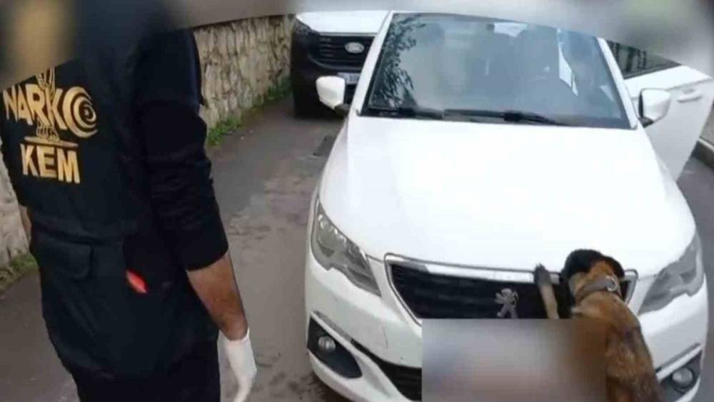 92 kilo bonzai hammaddesi taşıyan 2 şüpheli gözaltına alındı
