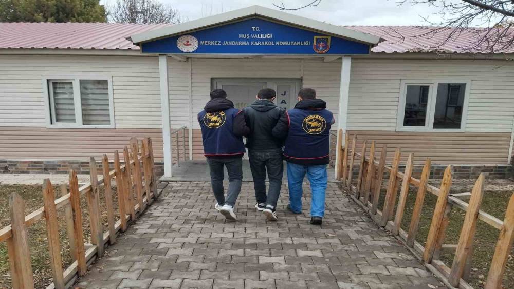 Muş’ta dolandırıcılık suçundan aranan hükümlü yakalandı
