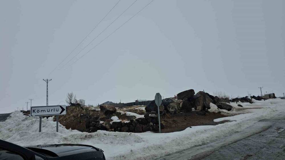 Adilcevaz&rsquo;da kuduz alarmı: Bir k&ouml;y karantinaya alındı

