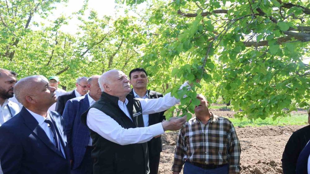 TZOB Genel Başkanı Bayraktar: "Iğdır&rsquo;daki kayısı bah&ccedil;elerimiz dondan zarar g&ouml;rd&uuml;"

