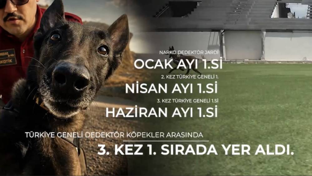 Narkotik k&ouml;peği &lsquo;Jardi&rsquo; &uuml;&ccedil;&uuml;nc&uuml; kez zirvede
