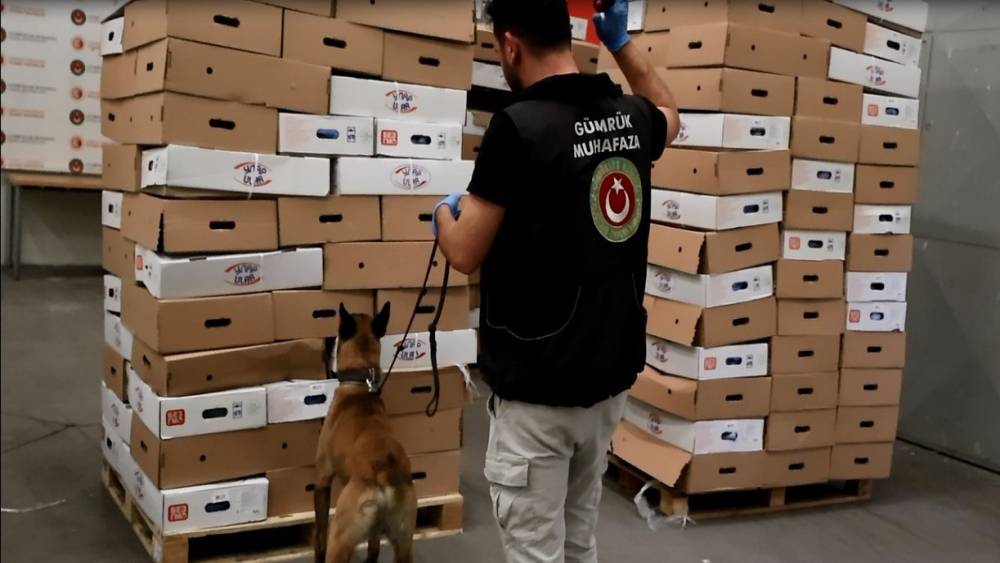 Kapıkule&rsquo;de tavuk kolilerinden uyuşturucu &ccedil;ıktı: 526 kilo esrar ele ge&ccedil;irildi
