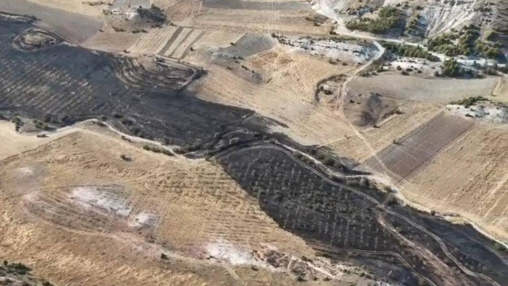 Ankara&rsquo;da tarım arazisinde &ccedil;ıkan yangın ormana sı&ccedil;ramadan s&ouml;nd&uuml;r&uuml;ld&uuml;
