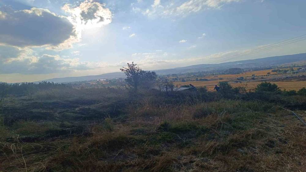 Bolu&rsquo;da anız yangını ağa&ccedil;lık alana sı&ccedil;ramadan s&ouml;nd&uuml;r&uuml;ld&uuml;
