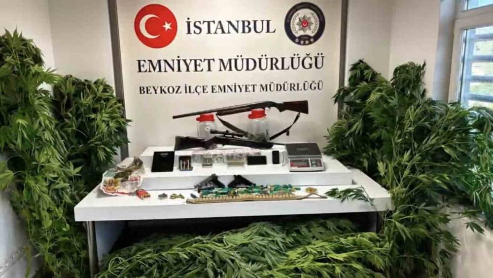 Beykoz&rsquo;da uyuşturucu operasyonu: 117 k&ouml;k hint keneviri ve &ccedil;ok sayıda silah ele ge&ccedil;irildi
