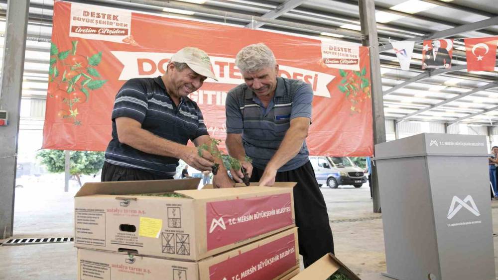 Mersin&rsquo;de 200 &uuml;reticiye y&uuml;zde 70 hibeli domates fidesi desteği

