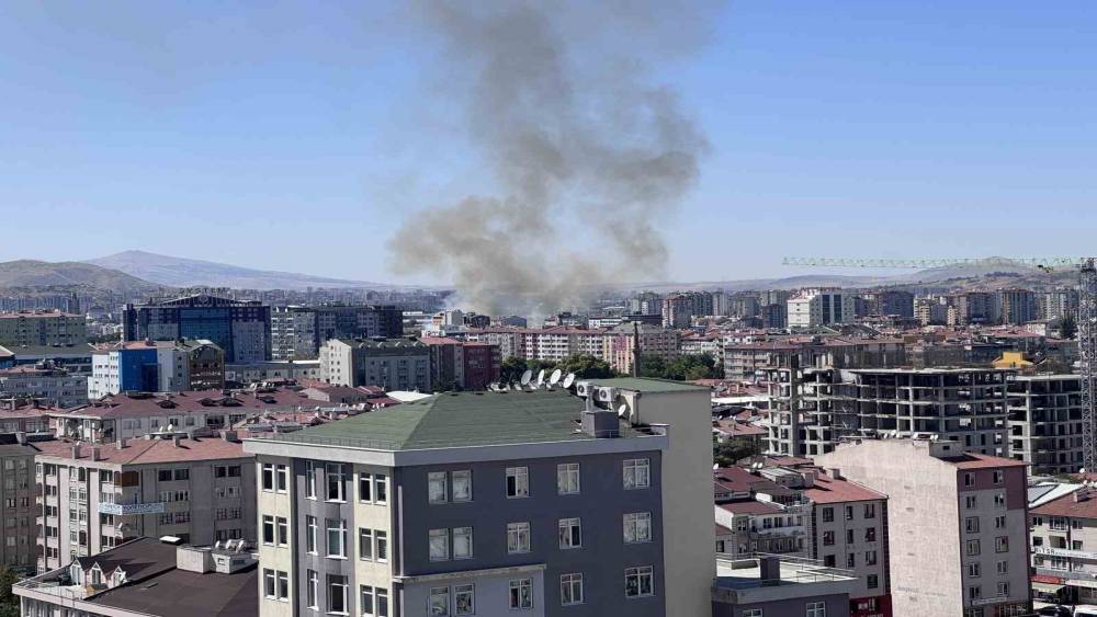 Ot yangınında 6 d&ouml;n&uuml;m alan k&uuml;l oldu
