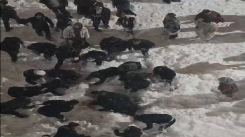 Hakk&acirc;ri&rsquo;de &ccedil;atıdan d&uuml;şen kar k&uuml;tlesinin altında kalan &ouml;ğrenci yaralandı
