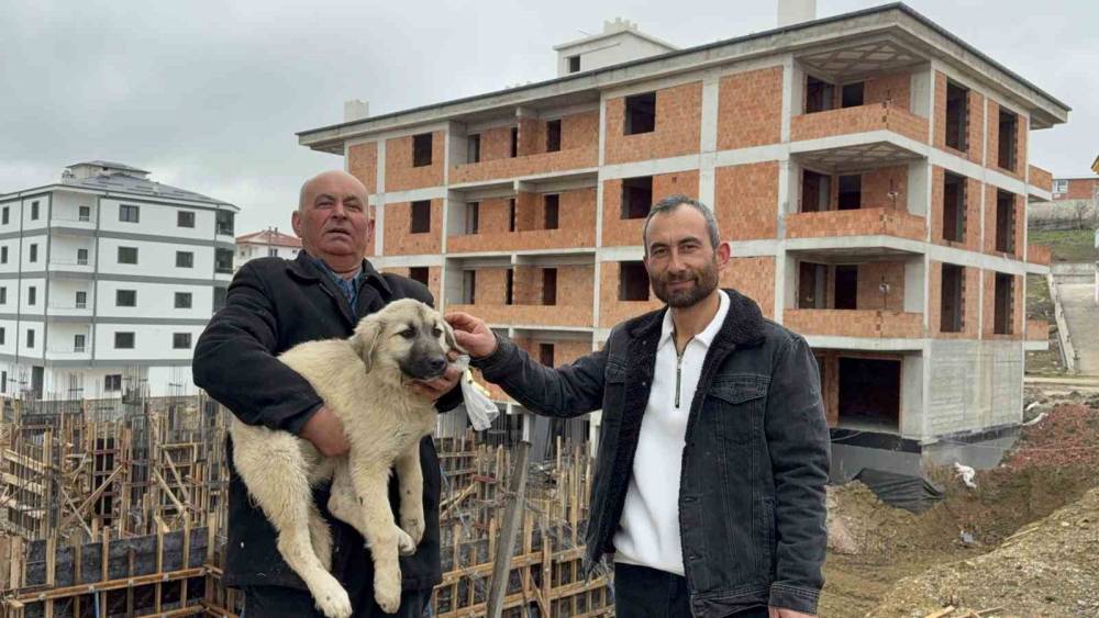 Baba oğul, &ccedil;atıda &ouml;l&uuml;m&uuml;n eşiğindeki yavru k&ouml;peği kurtardı
