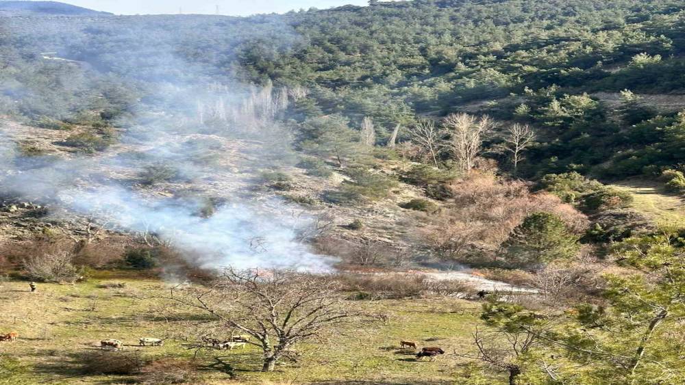 Arazisinde otları temizlik ama&ccedil;lı yaktı, vatandaş orman yangını ihbarında bulundu
