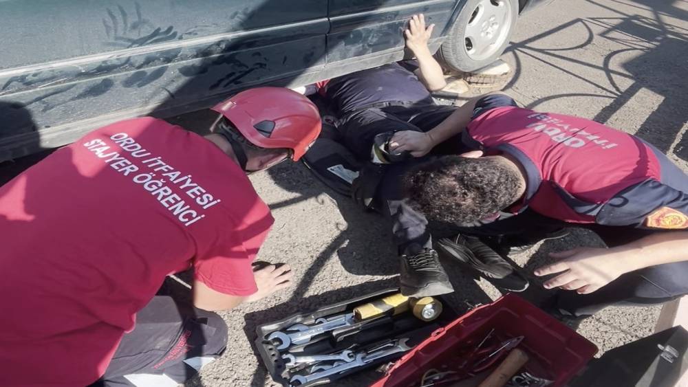 Ordu&rsquo;da otomobilin egzoz muhafazasına sıkışan yavru kedi kurtarıldı
