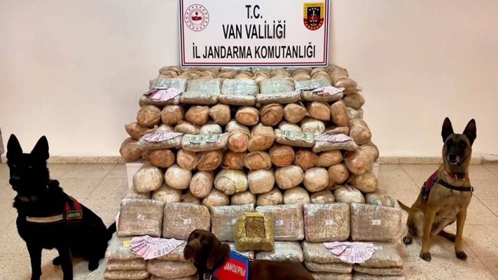 Van&rsquo;da 333 kilo skunk ele ge&ccedil;irildi
