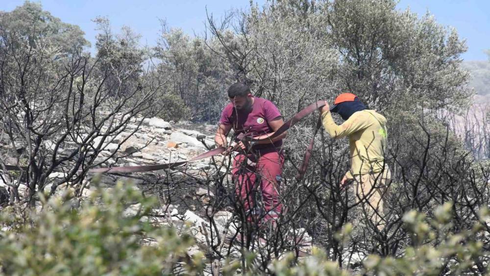 İzmir&rsquo;de ormanlık alanda &ccedil;ıkan yangın erken m&uuml;dahaleyle kontrol altında
