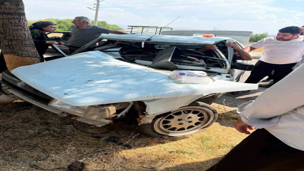 Elazığ&rsquo;da otomobil ağaca &ccedil;arptı: 1 yaralı
