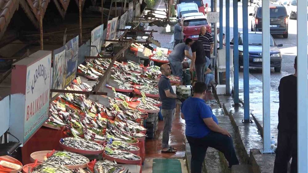 Yalova Balık Hali&rsquo;nde fiyatlar d&uuml;ş&uuml;şe ge&ccedil;ti
