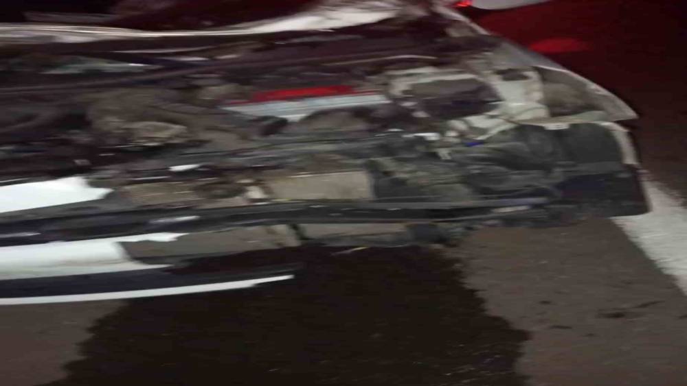 Bing&ouml;l&rsquo;de otomobil ineğe &ccedil;arptı: 4  yaralı
