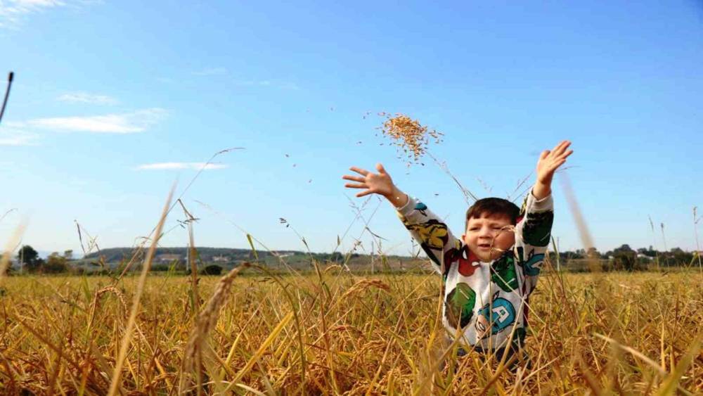 Samsun&rsquo;da tarımsal &uuml;retime 6 milyara yakın destek &ouml;demesi yapıldı
