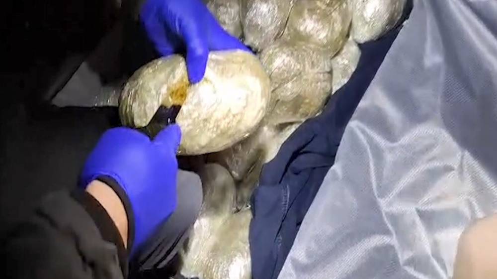 Bitlis&rsquo;te 4 kilo 800 gram skunk ele ge&ccedil;irildi
